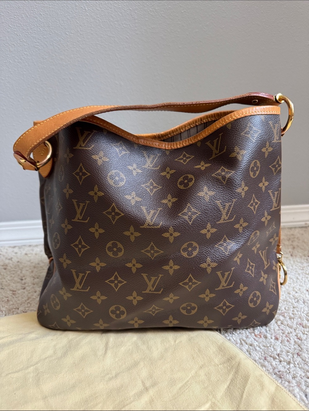 Louis Vuitton Delightful PM Monogram Canvas Hobo in Brown with Tan Trim